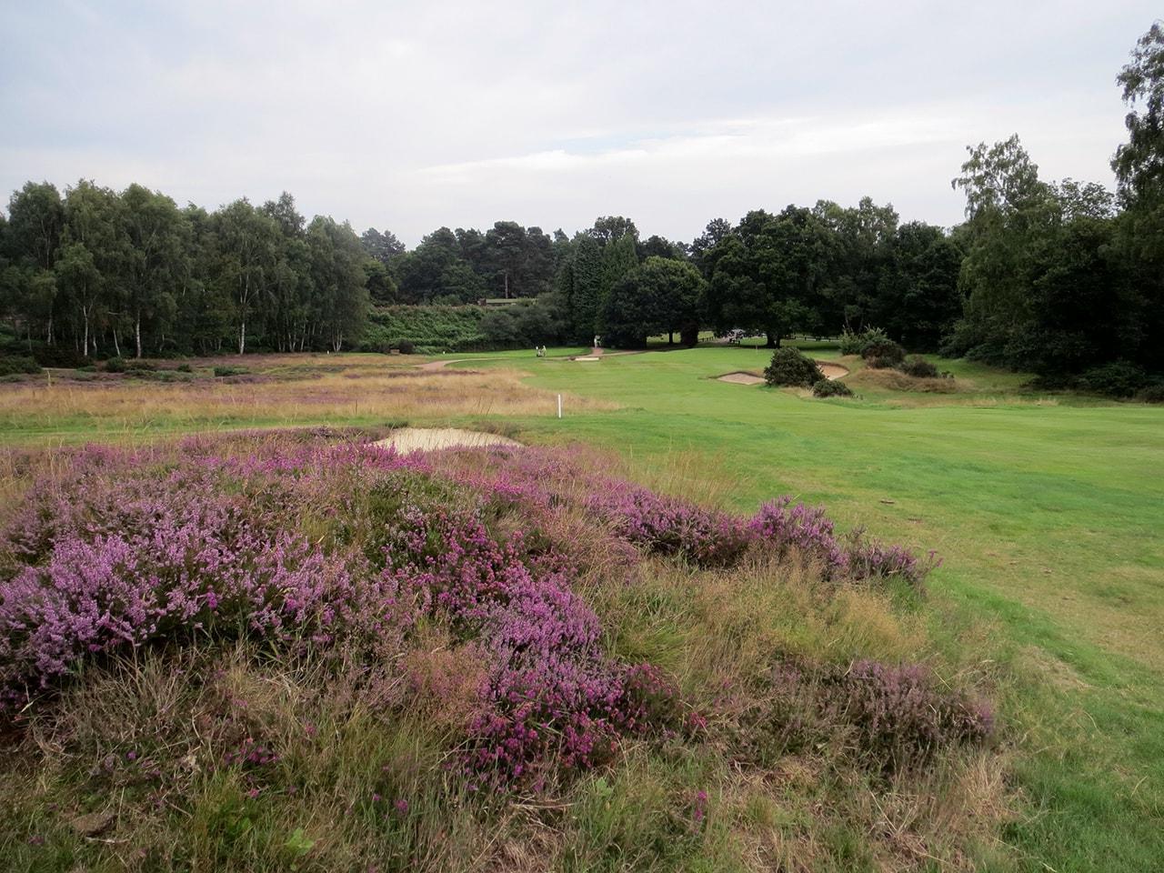 Liphook